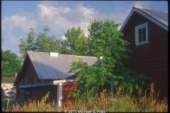 Windows Gables and Sumac