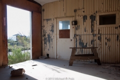 Sawhorse in Shade