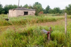 Building, Lane, Barrel, and Spigot