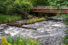 Creek Wooden Bridge Logs