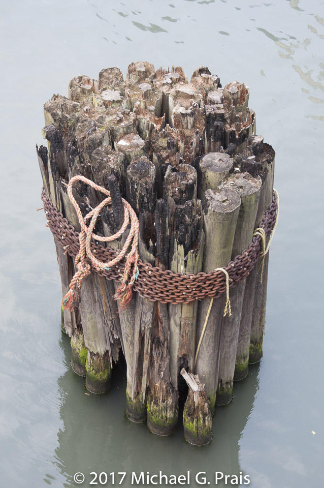 Pilings - Chicago River