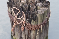 Pilings - Chicago River