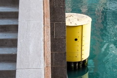 Yellow Drum Chicago RIver