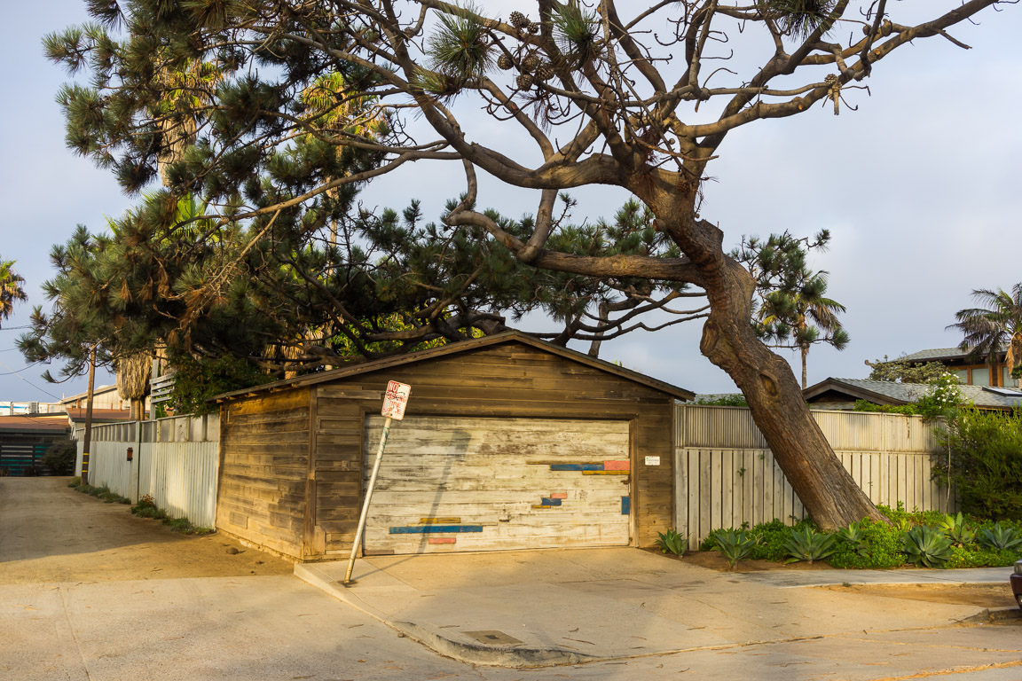 Ocean Beach - Garage and Tree Horizontal