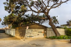 Ocean Beach - Garage and Tree Horizontal