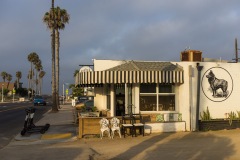 Ocean Beach - Little Lion 017