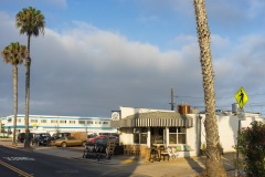 Ocean Beach - Little Lion 03