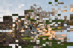 Out of Context (Dekalb Farmyard with Trees)