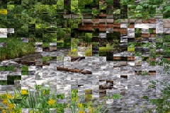 Out of Context (Creek Wooden Bridge Logs)