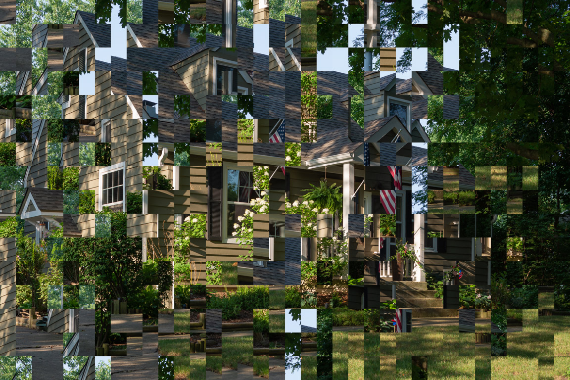 Out of Context (House - Green with Bush)