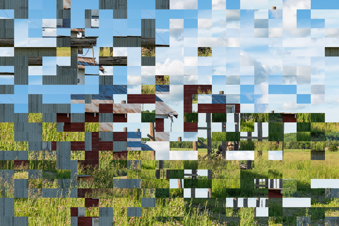 Out of Context (Maple Syrup Plant with Posts)