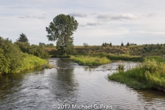 Clam Creek