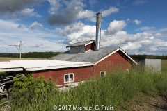 Maple Syrup Plant 14