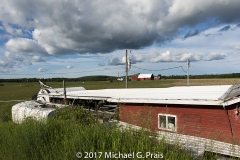 Maple Syrup Plant 16