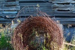 Barbed Wire Spool Wooden Wall