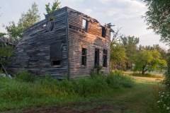 Farmhouse with Tree