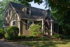 Houses - Green with Bush