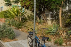 Ocean Beach - Bikes on Post