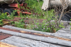Branches through Trailer