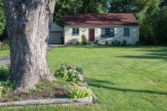 House (Tree and Blockhouse)